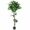 5.5-Feet Artificial Ficus Silk Tree Wood Trunks Green Indoor Yard Home Décor